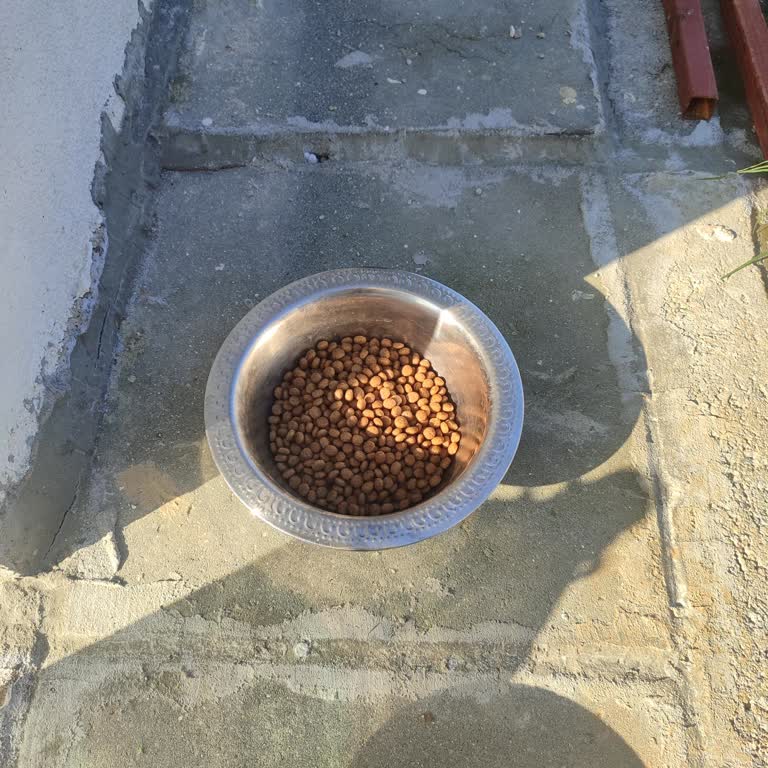 Yanıltıcı Mama Kampanyası: Müşteri Güveni Zedeleniyor