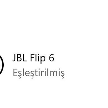 JBL Flip 6'nın Windows 10 İle Bağlantı Sorunu