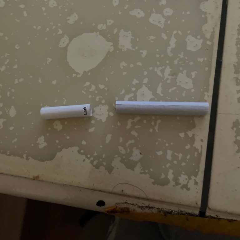 Lark Blue Sigara Paketinde Kopuk Dal Sorunu