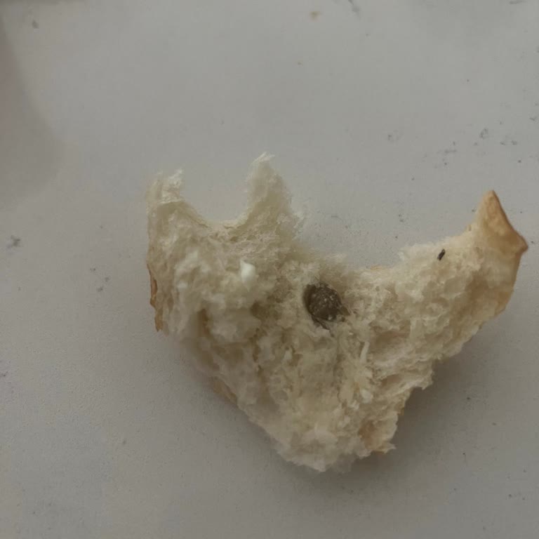 BİM'den Aldığım Ekmekte Hijyen Skandalı!