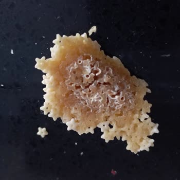 Filiz Makarna'da Kurt Ve Küf Şoku