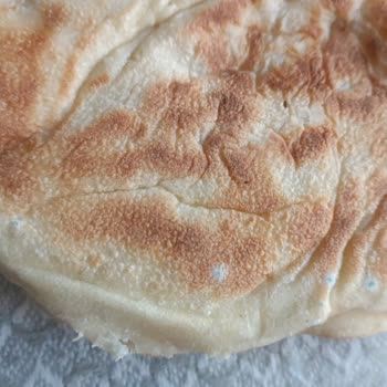 Nimet Gıda Küflü Bazlama Şoku