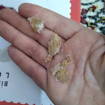 Pötibör Bisküvi İçinden Çıkan Şaşırtıcı Madde