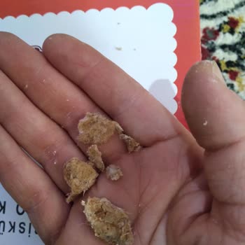 Pötibör Bisküvi İçinden Çıkan Şaşırtıcı Madde