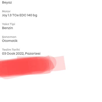 Renault Garanti Tarihi Ve Servis Sorunları