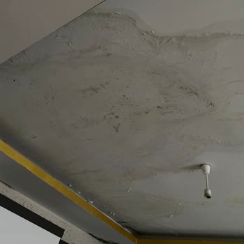 Hdi Sigorta Konut Sigortası Sürecinde Yaşanan Eksper Sorunları