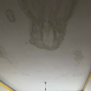 Hdi Sigorta Konut Sigortası Sürecinde Yaşanan Eksper Sorunları