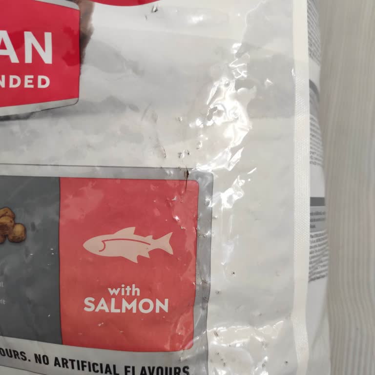 Bayat Kedi Maması Gönderimi: Güvenilirlik Sorunu