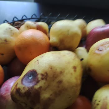 Eksik Ve Kalitesiz Ürünlerle Hayal Kırıklığı