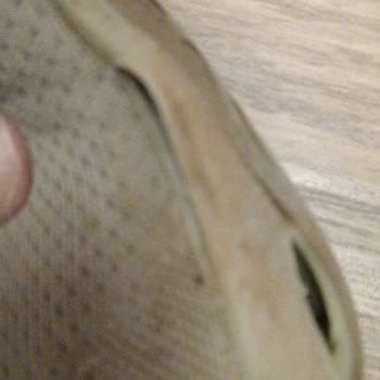Skechers Shoes Fell Apart After Minimal Use – No Support from Customer Service