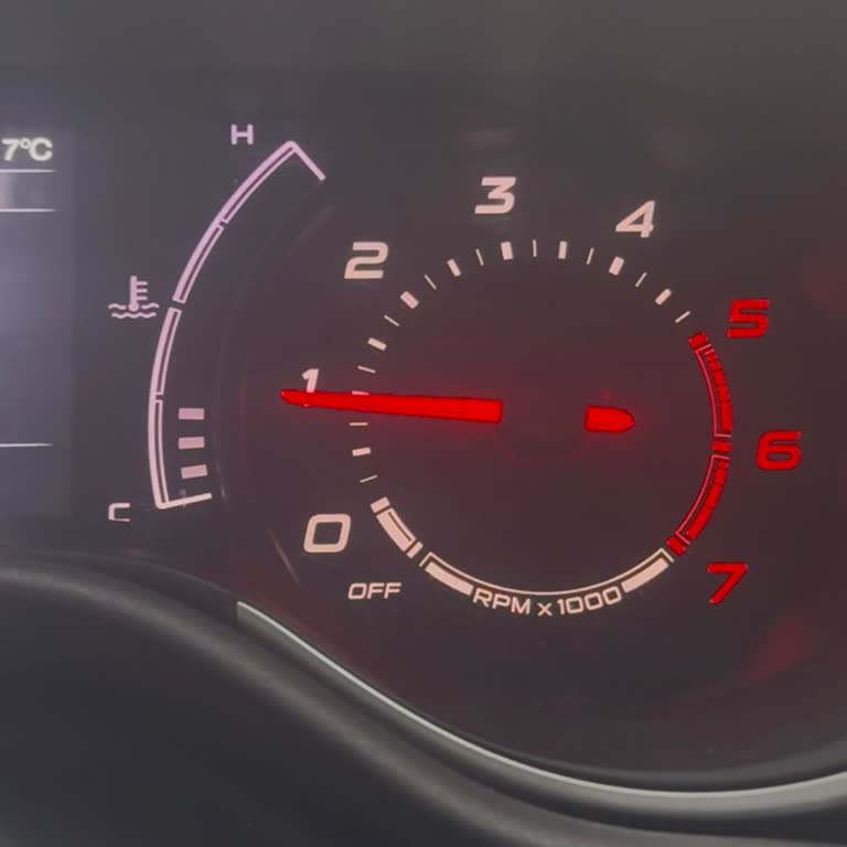 Fiat Egea Enjektör Sorunu Ve Garanti Kapsamı