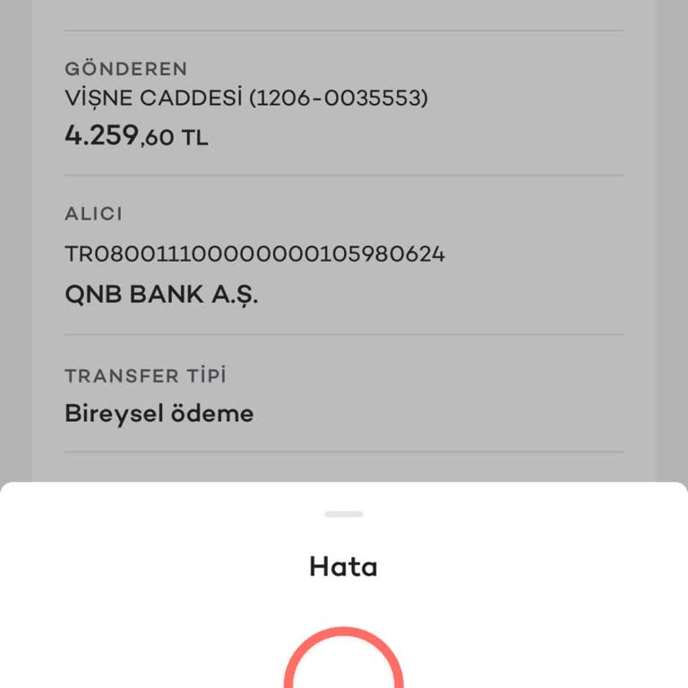 Yanıltıcı Yazılım Ödemesi Ve İade Sorunu
