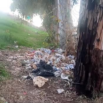 Adana Sarıçam Belediyesi Yol Kenarı Resmen Çöplük Olmuş