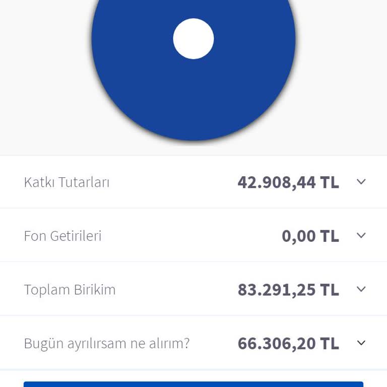 BES'te Beklenmedik Para Kaybı