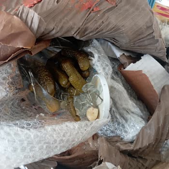 MNG Kargo İle Kırılan Konserveler Ve Fiyat Tutarsızlığı