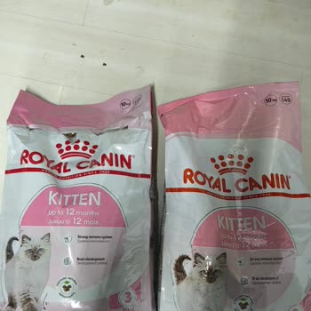 Sahte Mama Sorunu Ve İletişim Eksikliği