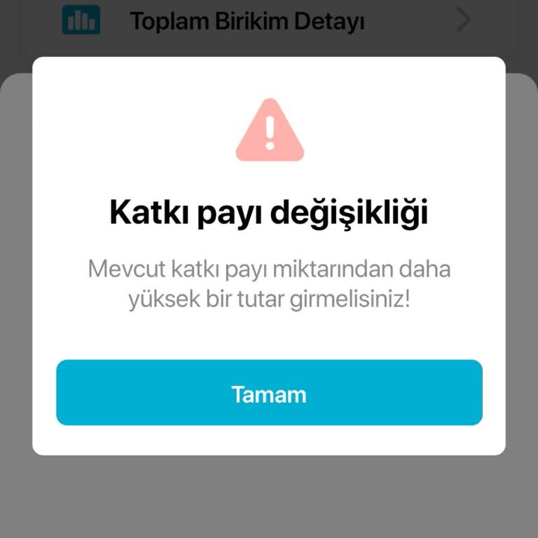 Katkı Payı Düzeltme Sorunu