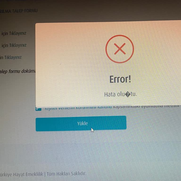 BES İptal Dilekçesi Yükleme Sorunu