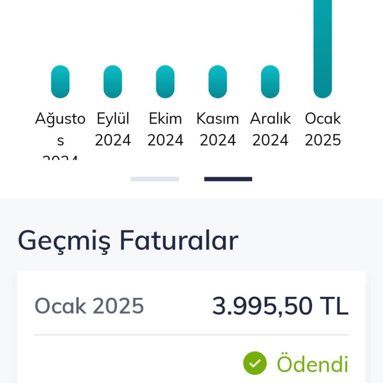 Yurt Dışı Paket Yanıltmacası: Beklenmedik Fatura Şoku