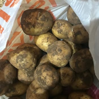 Migros Sanal Market Teslimat Sorunları Ve Kalitesiz Ürünler