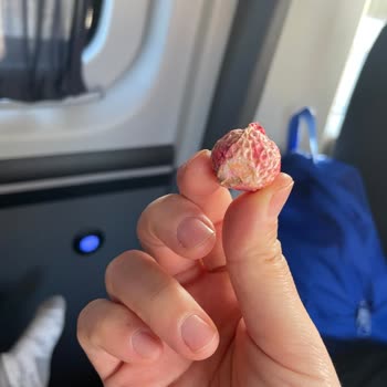 Bebeğim İçin Aldığım Kuru Çilekte Sorun Yaşadım