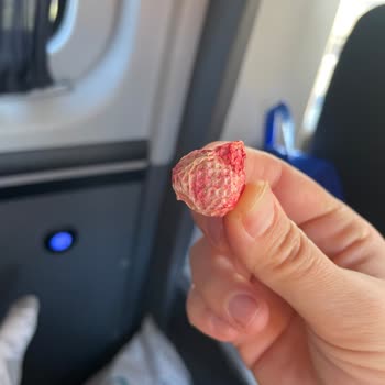 Bebeğim İçin Aldığım Kuru Çilekte Sorun Yaşadım