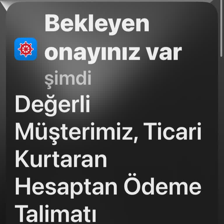 Denizbank'ın Kurtaran Hesap Bildirimlerinden Bıkkınlık