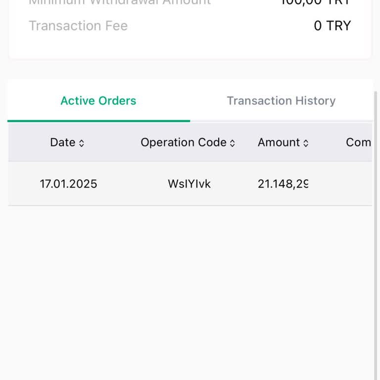 Bitçi Para Transferinde Uzun Süreli Gecikme