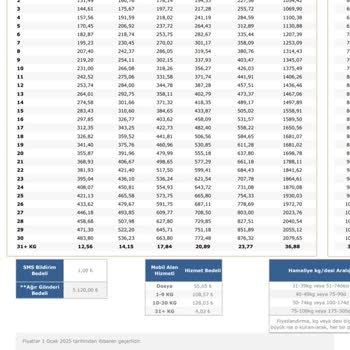 Aras Kargo Fiyat Tarifesi Şaşkınlığı