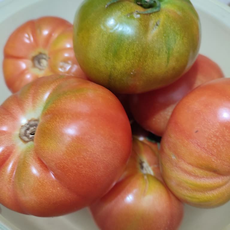 Önyargılar Ve Kaybedilen Güven: Müşteri Deneyimi Üzerine