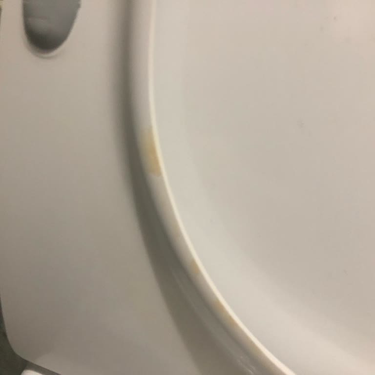İsvea Klozet Kapaklarında İdrar Lekesi Sorunu