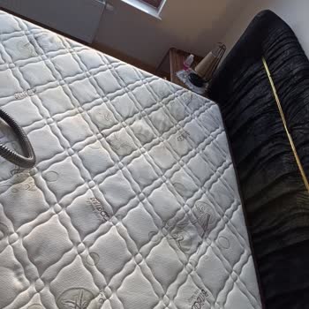 Süpürge Makinesi Halıda Sarı Leke Bıraktı