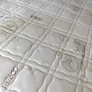 Süpürge Makinesi Halıda Sarı Leke Bıraktı