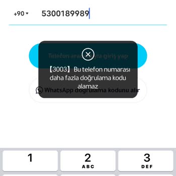 Hesap Erişim Sorunu: Doğrulama Kodu Alınamıyor