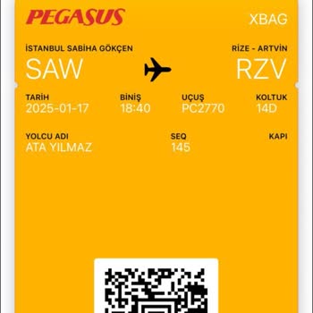 Kayıp Bagaj Ve İlgisiz Müşteri Hizmetleri