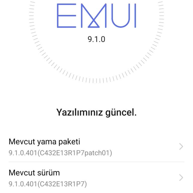 Güncelleme Alamayan Telefonumun Yazılım Sorunu