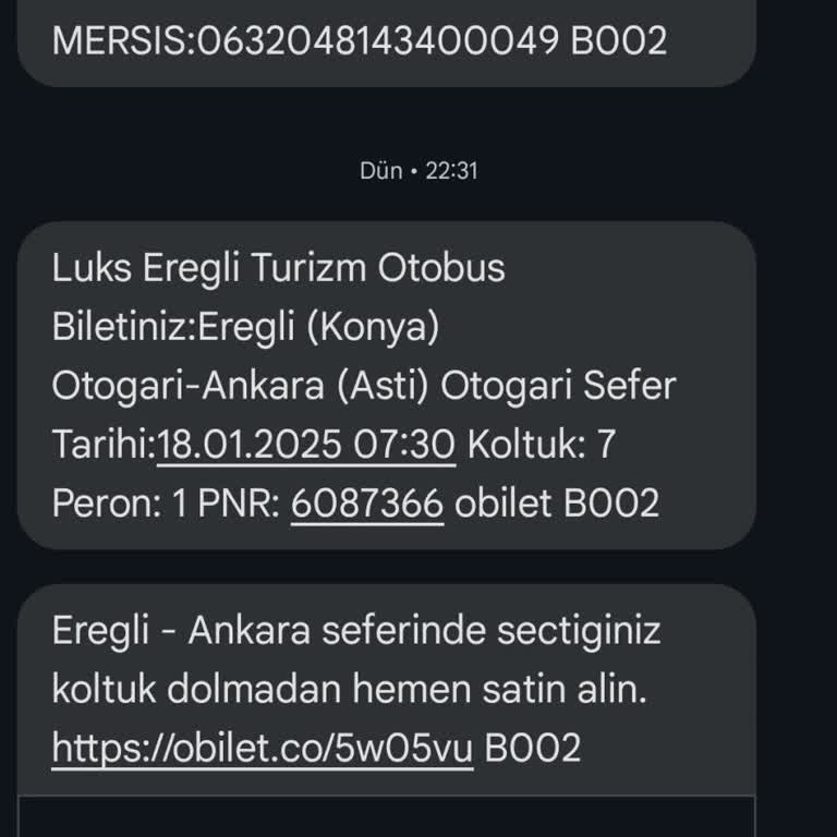 Bilet Görünmüyor, Değişiklik Yapamıyorum