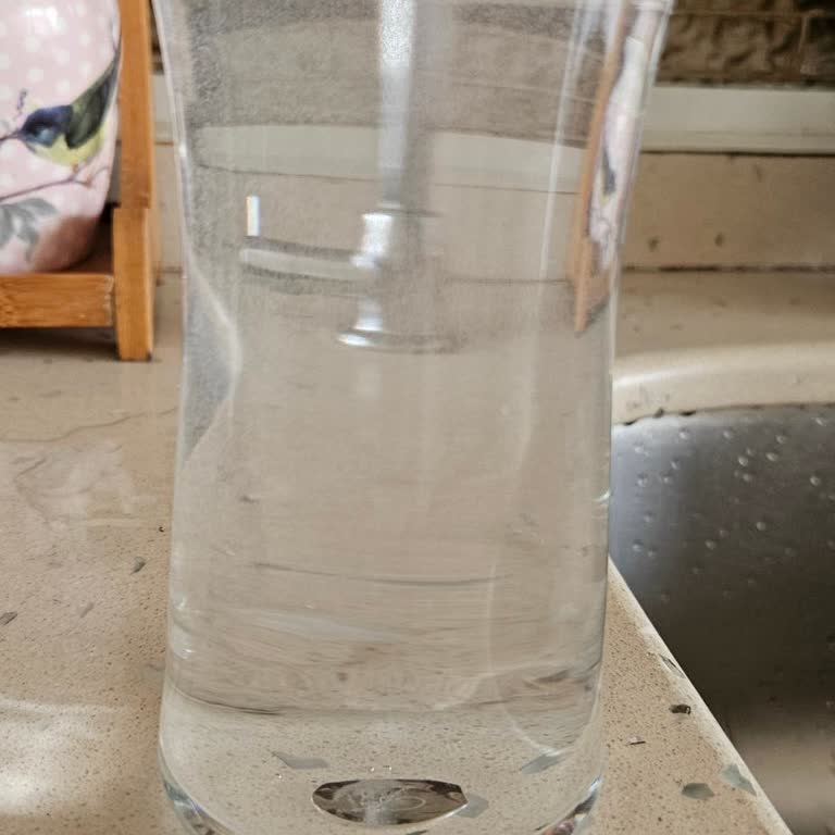 Su Arıtma Sistemi Sorunları: Paramızla Rezil Olduk