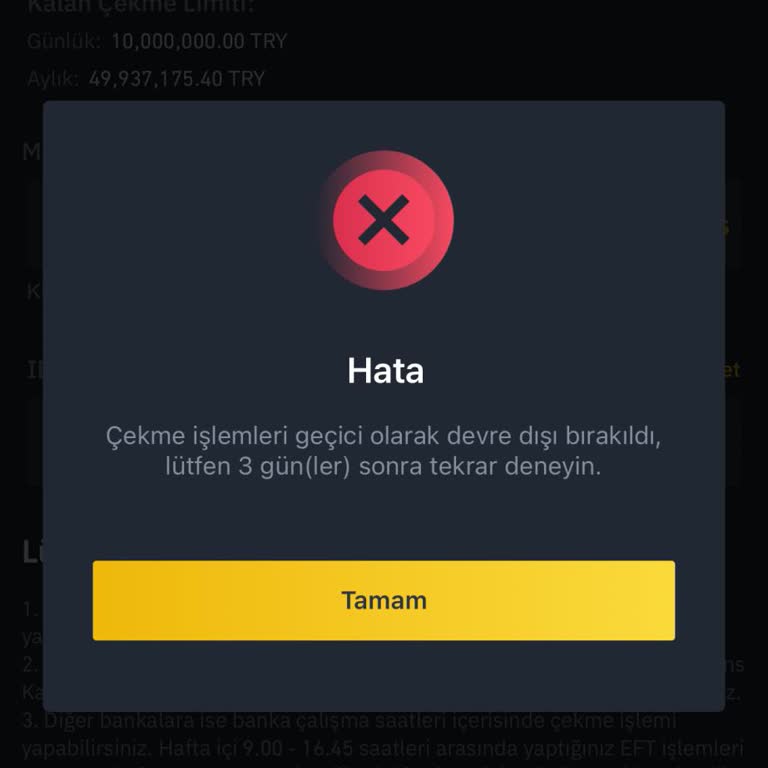 Binance TR'nin Güvenlik Prosedürü Mağduriyeti