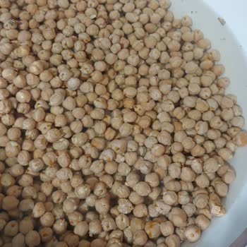 Kurtlanmış Ürün Ve İlgisiz Müşteri Hizmetleri Deneyimi