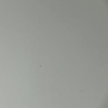 Torku Sütünde Şaşırtan Siyah Noktalar