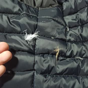 Kaz Tüyü Mont Sorunu: Garanti Ve Değişim Hayal Kırıklığı