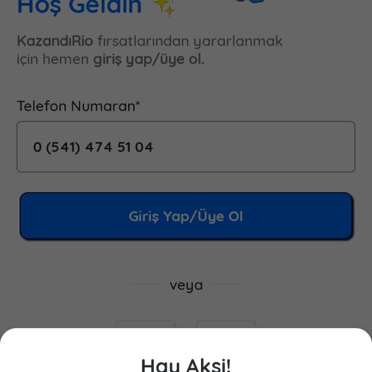 Giriş Sorunu: Cihaz Tanınmıyor