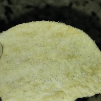 Aşırı Tuzlu Cips Krizi