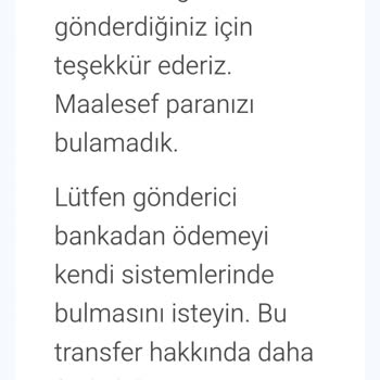 Wise Hesabına Transfer Sorunu