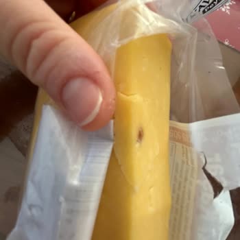 Kavlak Zeytin Kaşar Peynirdeki Yabancı Madde Sağlığımı Tehdit Ediyor Mu