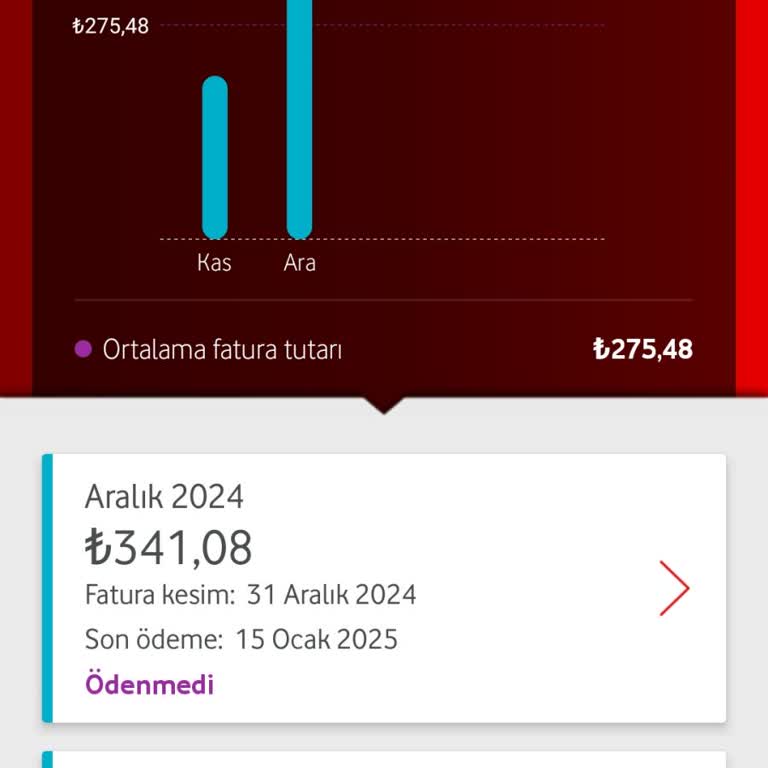 Fatura Sorunları Ve Geciken İade Süreci
