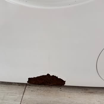 Bosch Çamaşır Makinesi Sorunları Ve Yetersiz Servis Desteği