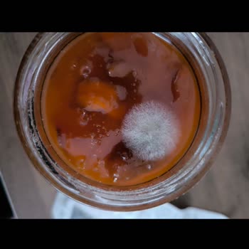 Küflü Reçel Hayal Kırıklığı