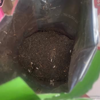 İndirimli Ürün Diye Kurtlu Çay Satışı